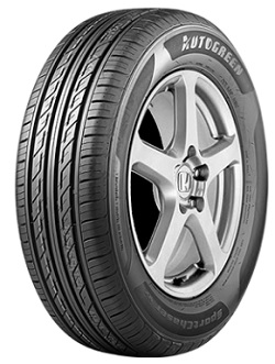 215/60R16 V (95) Image