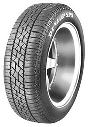 295/35R21 Y (107) Image