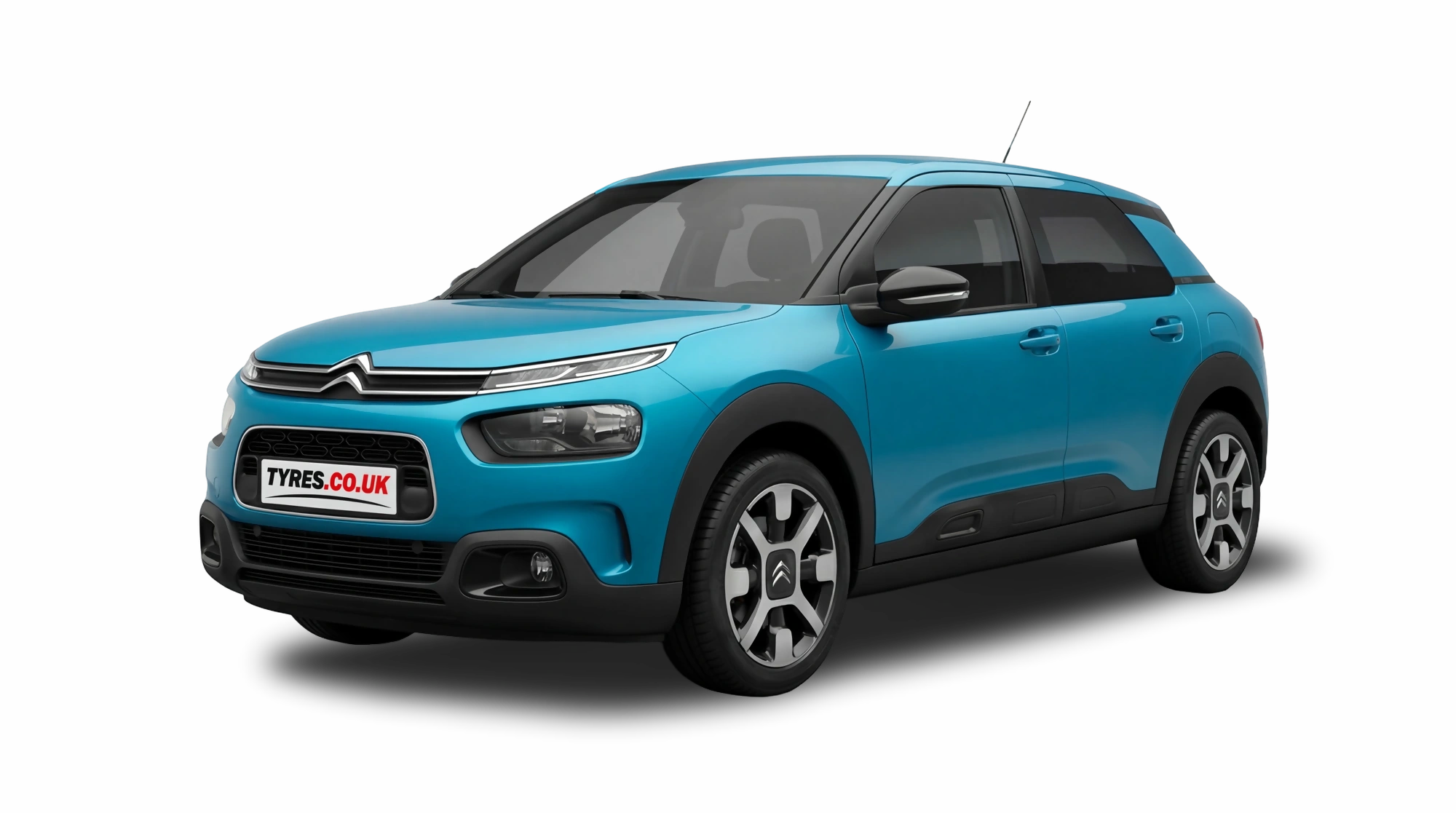 C4 Cactus Image