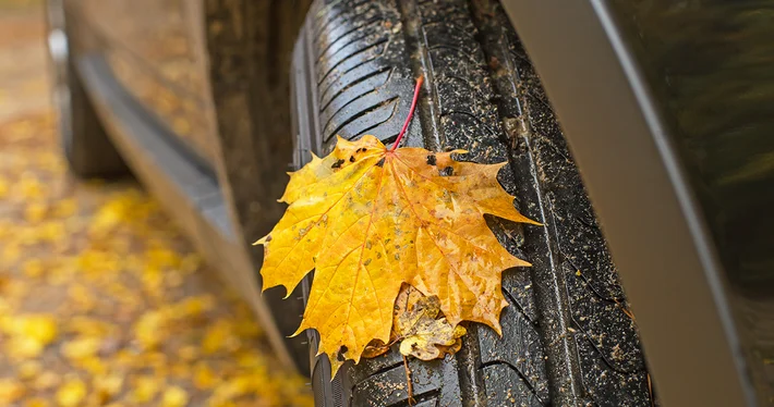 All Season vs Summer Tyres: Which Is Best? Image