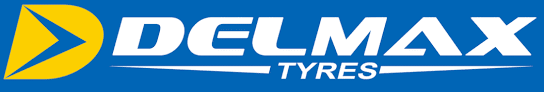 Delmax Logo